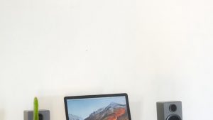 speaker