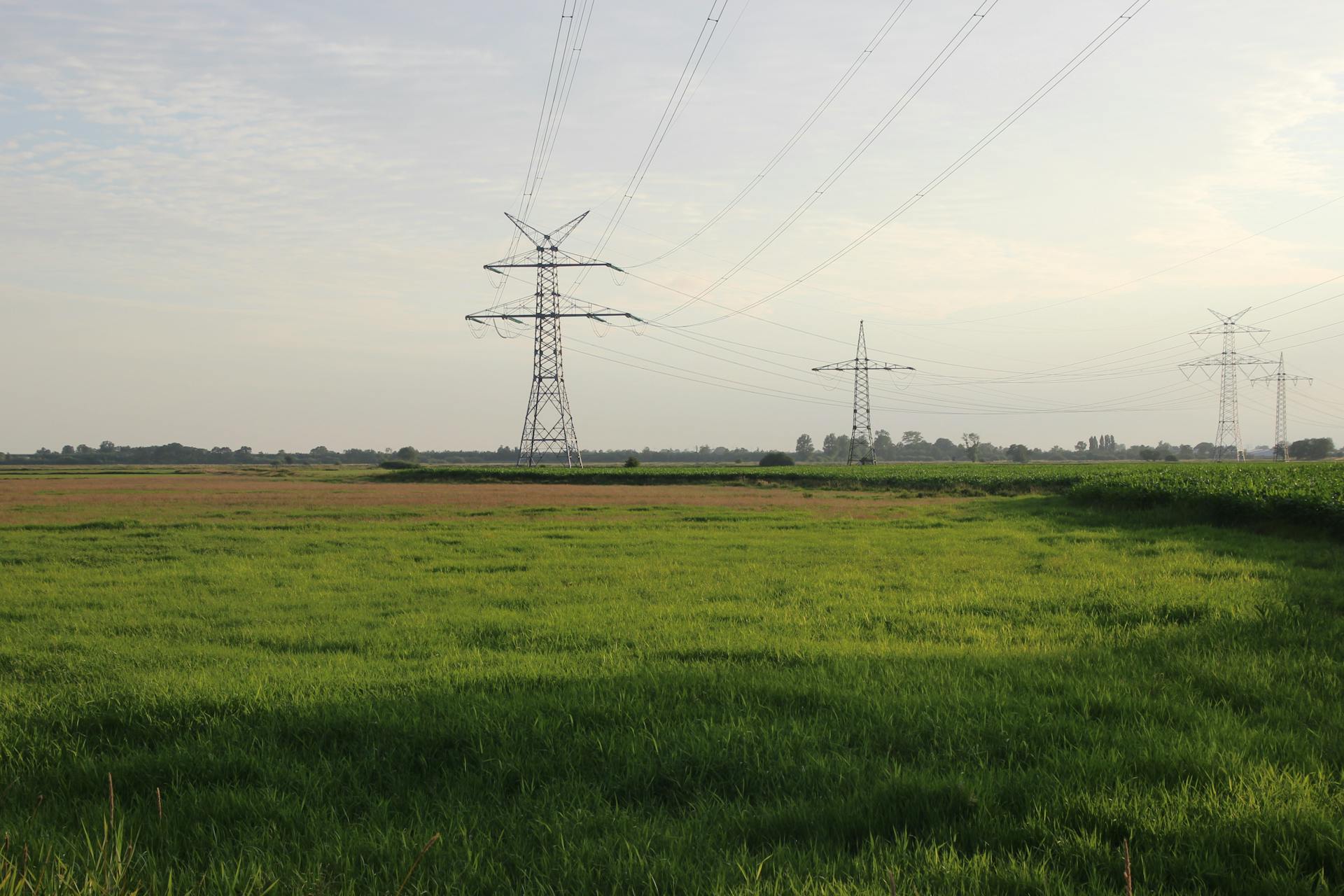 towers